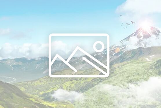 视频 | 2025年四川省非物质文化遗产传承人研培项目——传统丝毯织造技艺研培班